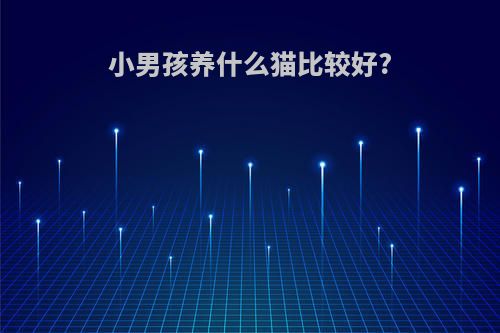 小男孩养什么猫比较好?