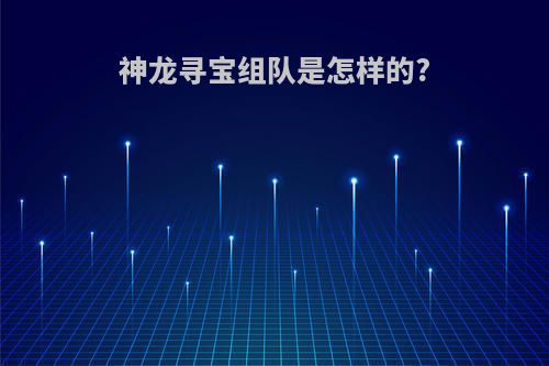 神龙寻宝组队是怎样的?